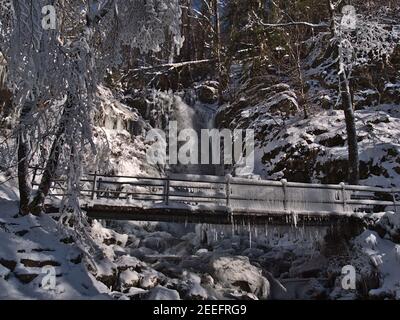 Célèbres cascades de Todtnauer Wasserfälle en hiver avec beaucoup de glaces et pont gelé entouré d'arbres enneigés par jour ensoleillé. Banque D'Images