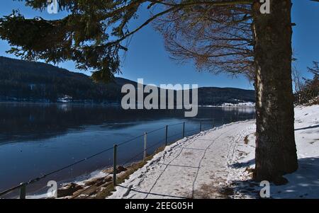 Sentier couvert de neige avec balustrade et conifères sur la rive du lac gelé Schluchsee, dans les collines de la Forêt Noire, en Allemagne, en hiver. Banque D'Images