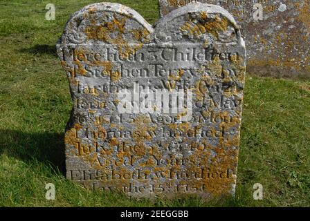 Cette pierre angulaire du cimetière de l’église paroissiale de St Augustine, à Brookland, dans le Kent, au milieu des terres humides basses de Walland Marsh, raconte une histoire triste mais typique de la mortalité infantile en milieu rural des années 1700. Il enregistre la mort dans la petite enfance ou l'enfance entre 1740 et 1751 de trois enfants nés de Martha et de Stephen Terry - à un moment où les taux de mortalité infantile dans les paroisses de marais étaient deux à trois fois plus élevés que dans les villages de terres en aval. Les marais de Romney et de Walland ont été touchés par des maladies infectieuses et chroniques comme la peste bubonique et la variole - et par le paludisme, qui était autrefois endémique. Banque D'Images