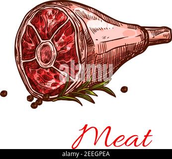 Icône représentant un quart de jambon cru en forme de viande. Filet de viande de bœuf cru Vector ou de patte de Porto sur os ou filet de bœuf et gammon d'agneau pour la boucherie et le framer Illustration de Vecteur