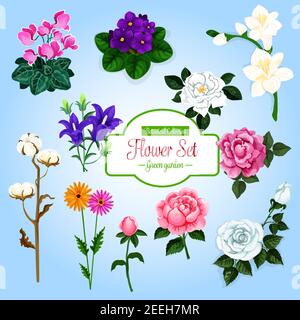 Ensemble de fleurs. Rose, Marguerite, rose de thé, pivoine, nénuphar, violet, fleur de cloche, cyclamen et branche de fleur de coton. Jardin et maison fleurs plantes dessin animé desi Illustration de Vecteur