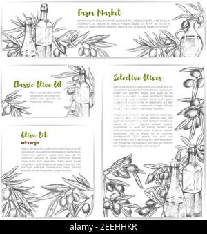 Banderoles et affiches à croquis d'huile d'olive ensemble de branches d'olives vertes et noires pour le marché de l'huile d'olive. Modèles vectoriels conception d'orga naturelle extra vierge Illustration de Vecteur
