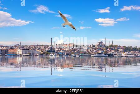 La mouette vole près de la mosquée Suleymaniye, dans le détroit du Bosphore, à Istanbul Banque D'Images