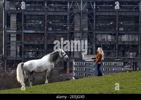 Ironbridge, Shropshire, Royaume-Uni. 16 février 2021. La dame et son cheval. Le froid laid reste de la centrale électrique de Buildwas contraste avec la beauté naturelle de la dame et de son cheval blanc andalou sur les collines de la gorge de Severn. Crédit : Dave Bagnall/Alay Live News Banque D'Images