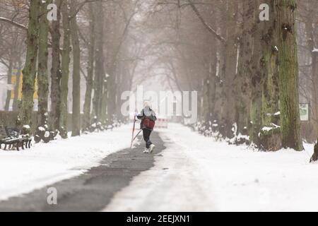Berlin, Allemagne. 16 février 2021. Allemagne, Berlin, 16 février 2021 : une femme transporte des skis sur une piste dégagée d'une avenue enneigée et brumeuse dans le parc Tiergarten, dans le centre de Berlin. Après une semaine à des températures inférieures au point de congélation et beaucoup de neige fraîche, les températures montent à nouveau. (Photo de Jan Scheunert/Sipa USA) crédit: SIPA USA/Alay Live News Banque D'Images