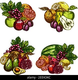 Icônes de fruits bunches ensemble. Récolte vectorielle de raisin rouge, pastèque ou melon, prune ou kiwi juteuse et avocat exotique et pamplemousse tropical, jardin Illustration de Vecteur