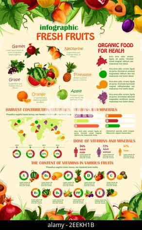 Modèle d'infographies fruits. Éléments de conception vectorielle de la consommation de fruits, statistiques sur les vitamines de raisin ou de pomme, diagramme et graphique sur les aliments biologiques sur le WO Illustration de Vecteur