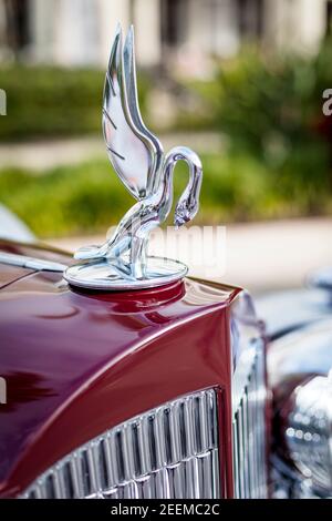 Décoration de capot d'un « douze » Packard 1933 exposée à « Cars on Fifth » - Naples, Floride, États-Unis Banque D'Images