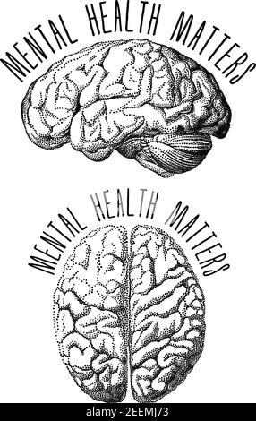 Questions de santé mentale, dessin du cerveau humain, illustration vectorielle Illustration de Vecteur