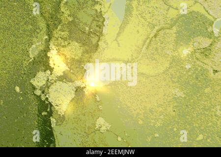 Motif en marbre vert lime brillant avec poussière dorée. Arrière-plan vectoriel abstrait dans la technique de l'encre d'alcool. Peinture moderne avec paillettes. Modèle pour bannière Illustration de Vecteur