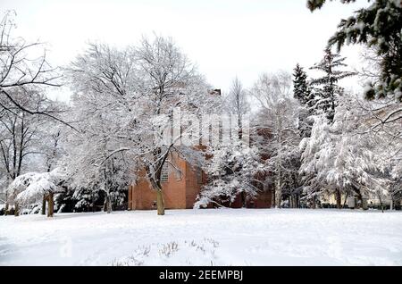 Le jardin à côté de l'église médiévale de Saint Sofia, datant du 4ème-6ème siècle en hiver, Sofia, Bulgarie, Europe Banque D'Images