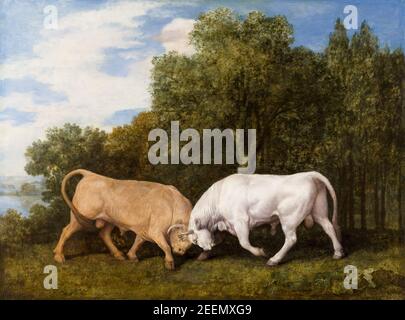 George Stubbs, Bulls Fighting, peinture, 1786 Banque D'Images