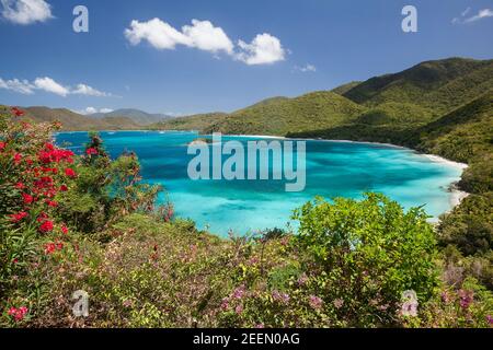 Vue au-dessus de Cinnamon Bay avec des fleurs en premier plan sur l'île de Saint John dans les îles Vierges américaines. Banque D'Images