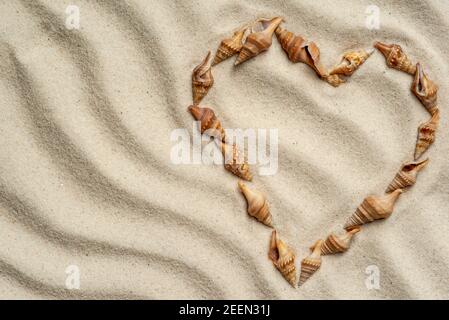 Coquillages disposés en forme de coeur sur du sable ondulé. Vue de dessus Banque D'Images