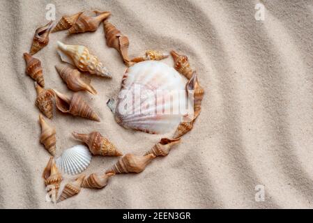 Coquillages disposés en forme de coeur sable ondulé Banque D'Images