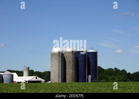 Ferme végétale typique du New Jersey, Etats-Unis, le Garden State Banque D'Images