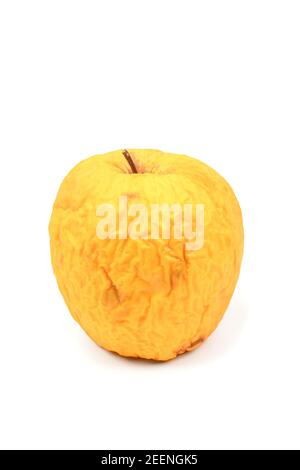 Pomme ridée jaune isolée sur fond blanc, pomme mouillée, vieux concept de peau. Photo haute résolution. Profondeur de champ complète. Banque D'Images