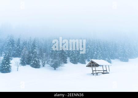 Abri solitaire en bois sur fond de montagnes et de forêt en cas de fortes chutes de neige et de brouillard Banque D'Images