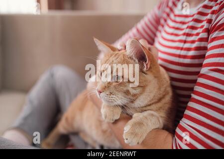 femme se détendant avec son chat de tabby au gingembre sur un canapé. Ambiance chaleureuse, concept d'hygge. Animaux et mode de vie Banque D'Images