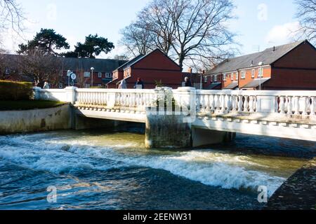 La rivière Witham haut niveau après la pluie et la neige récentes. Wyndham Park, Grantham, Lincolnshire, Angleterre Banque D'Images