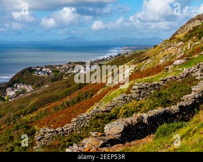 Mur de pierre de Drystone dans le paysage de montagne à Dinas oleu près de Barmouth dans le nord-ouest du pays de Galles du Royaume-Uni près de la populaire promenade Panorama. Banque D'Images