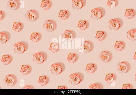 Tendance lumière du soleil motif été fait avec des têtes roses roses sur fond beige pastel. Concept de nature été minimal. Banque D'Images