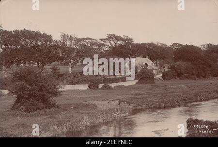 Carte postale photographique édouardienne d'époque montrant le village de Boldre dans la New Forest, Hampshire, Angleterre. Affiché en 1906. Banque D'Images