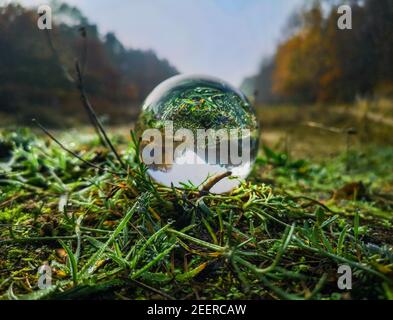 Verre boule de cristal sur l'herbe verte humide de la rosée du matin Banque D'Images