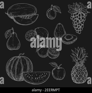 La craie de fruits exotiques esquisse des icônes sur le tableau noir. Symboles vectoriels isolés de pastèque, melon et raisin ou ananas tropical, pomme et pois cultivés dans la ferme Illustration de Vecteur