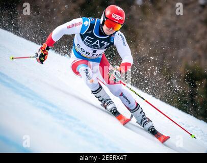 16 février 2021, Italie, Cortina d’ampezzo: Ski alpin: Championnat du monde, parallèle, hommes: Loic Meillard de Suisse. Photo: Michael Kappeller/dpa Banque D'Images