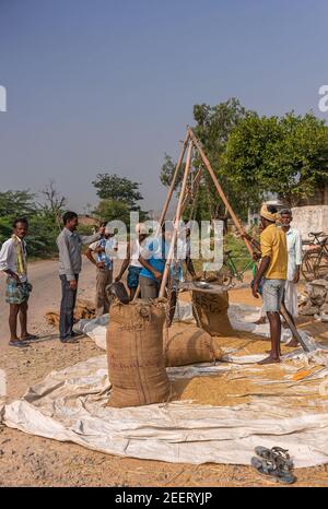 Ayodhya, Karnataka, Inde - 9 novembre 2013 : l'acheteur et les agriculteurs pèsent le riz fraîchement récolté le long de la route sous un ciel bleu. Feuillage vert comme b Banque D'Images