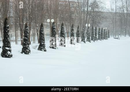 des dérives profondes dans le parc. un puissant cyclone a frappé la ville et il y avait beaucoup de neige en hiver Banque D'Images