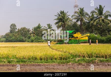 Ayodhya, Karnataka, Inde - 9 novembre 2013: Grande machine de battage de ramassage John Deere jaune et vert moissonnant dans un champ de riz mûr alors que les agriculteurs regardent o Banque D'Images