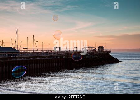 WA19186-00...WASHINGTON - des bulles de savon géantes flottent jusqu'au Puget Sound au coucher du soleil sur la jetée de pêche et la marina d'Edmonds. Banque D'Images