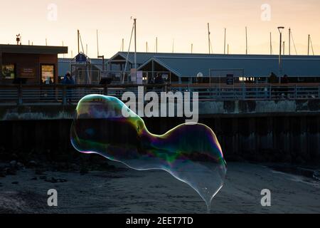 WA19187-00...WASHINGTON - des bulles de savon géantes flottent jusqu'au Puget Sound au coucher du soleil sur la jetée de pêche et la marina d'Edmonds. Banque D'Images