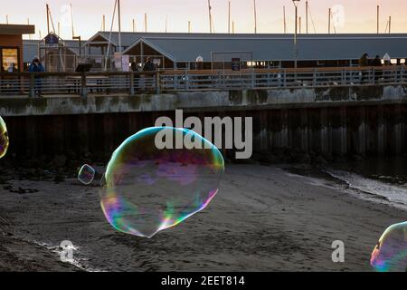 WA19188-00...WASHINGTON - des bulles de savon géantes flottent jusqu'au Puget Sound au coucher du soleil sur la jetée de pêche et la marina d'Edmonds. Banque D'Images