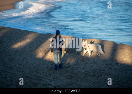 Barcelone, Espagne: 2021 février 12: Fille avec son chien à Playa de la Mar Bella sur la promenade de Barcelone à l'époque de Covid 19 à l'hiver 2021. Banque D'Images