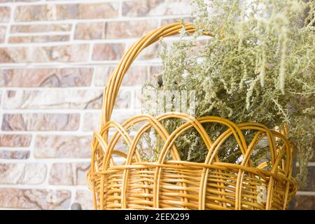Panier en osier de vigne avec de l'herbe séchée dans l'intérieur rural de la maison. Gros plan, mise au point sélective. Banque D'Images
