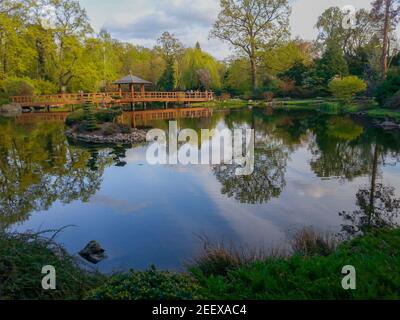 Paysage coloré de jardin japonais à Wroclaw se reflétant dans le lac Banque D'Images