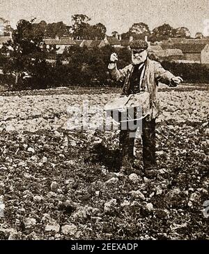 Une vieille photographie de presse montrant un agriculteur diffusant des semences par main vers les années 1930 Banque D'Images