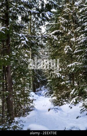 HEART LAKE ADIRONDACK LOJ ADIRONDACKS, LAC PLACIDE NEW YORK ÉTATS-UNIS Banque D'Images