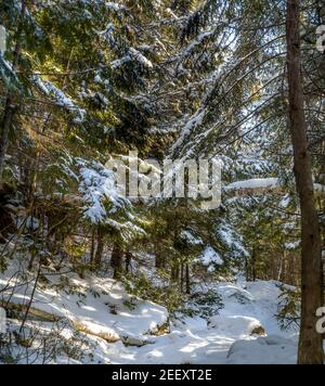 HEART LAKE ADIRONDACK LOJ ADIRONDACKS, LAC PLACIDE NEW YORK ÉTATS-UNIS Banque D'Images