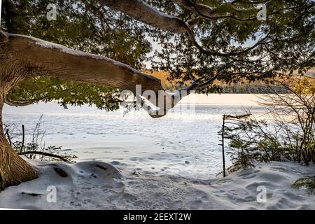 HEART LAKE ADIRONDACK LOJ ADIRONDACKS, LAC PLACIDE NEW YORK ÉTATS-UNIS Banque D'Images