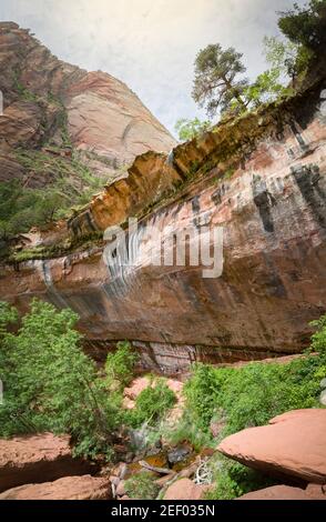 Chute d'eau des piscines Emeraude inférieures au-dessus des touristes marchant sur la piste des piscines Emeraude. Pas de visages reconnaissables. Parc national de Zion, Utah, États-Unis Banque D'Images