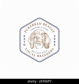 Modèle de logo ou de badge de cadre pour éleveur de chiens local. Dessin de face de race Beagle dessiné à la main avec Typographie et bordures rétro. Emblème Premium vintage Illustration de Vecteur