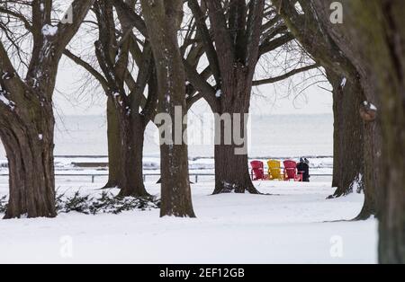 Toronto, Canada. 16 février 2021. Les gens marchent dans un parc couvert de neige à Toronto, Ontario, Canada, le 16 février 2021. Mardi, une tempête hivernale a frappé la ville de Toronto et les environs. Credit: Zou Zheng/Xinhua/Alamy Live News Banque D'Images