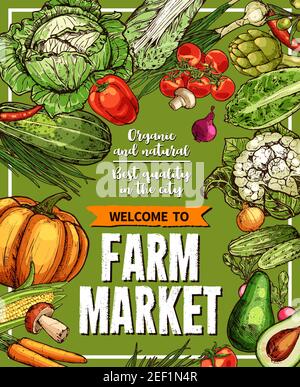 Affiche de croquis légumes et légumes frais pour le marché de la ferme végétale. Vecteur naturel organique citrouille, chou-fleur et brocoli chou ou courgettes Illustration de Vecteur