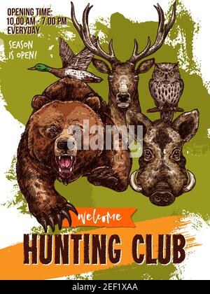 Affiche de croquis du club de chasse pour la saison ouverte. Modèle de dessin vectoriel d'animaux sauvages ours grizzli ou couche et sanglier de porc, canard et hibou, wapiti ou chasseur de cerfs Illustration de Vecteur