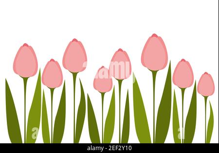 Motif ressort sans couture avec tulipes, en vecteur plat Illustration de Vecteur
