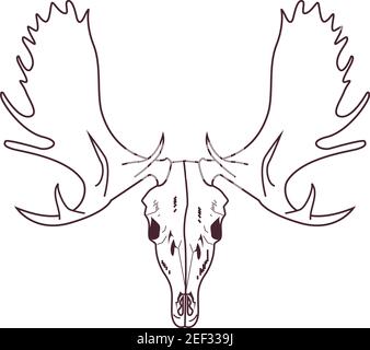 tête de crâne de l'orignal sauvage icône vecteur illustration design Illustration de Vecteur